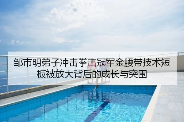 邹市明弟子冲击拳击冠军金腰带技术短板被放大背后的成长与突围